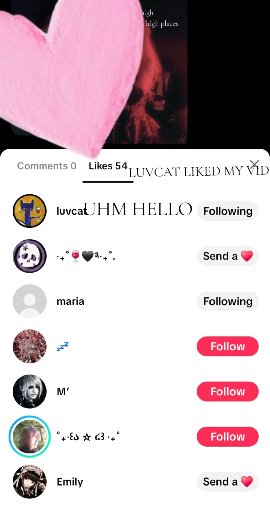@Luvcatfann