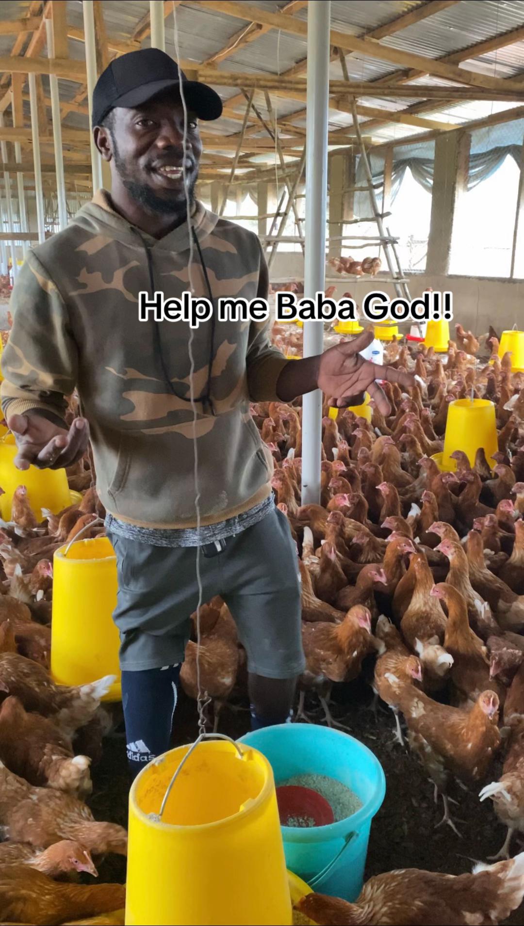 @mzee chicks ug