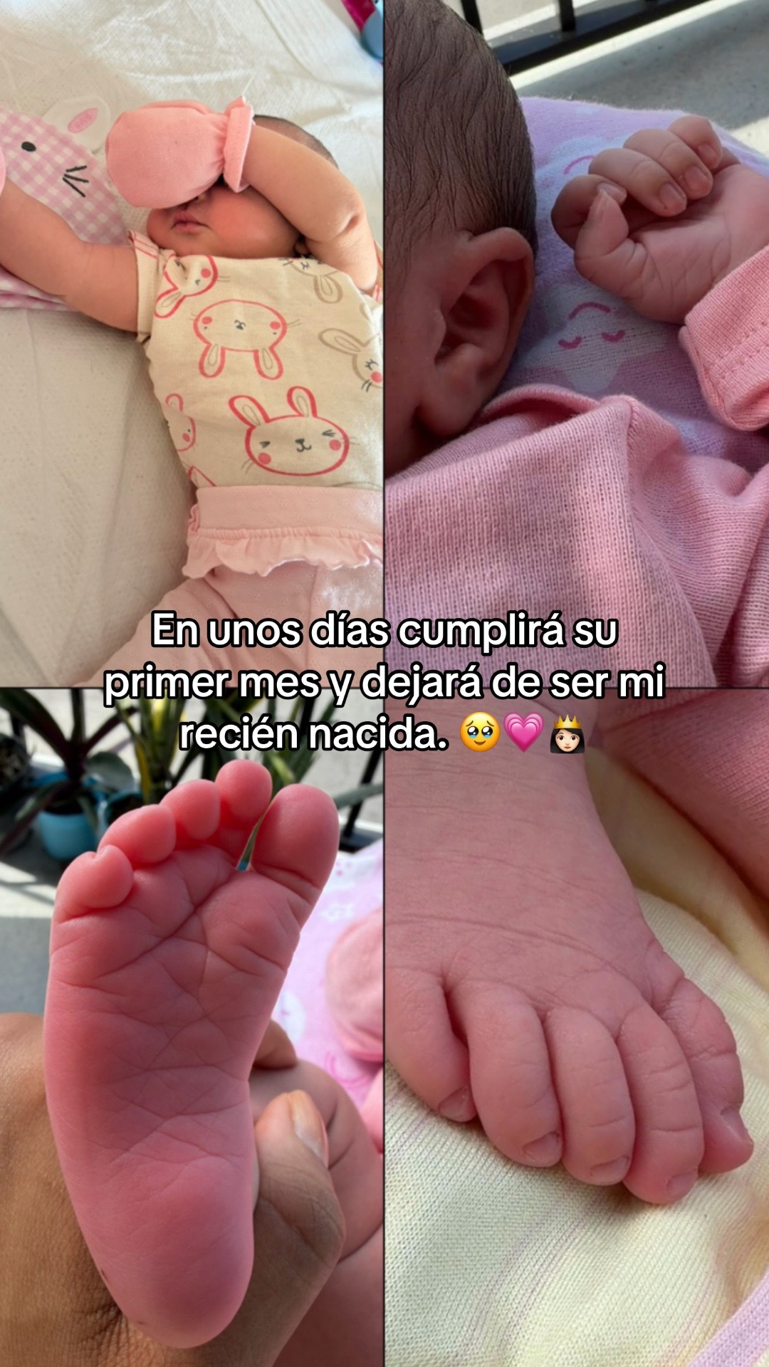 @Yalo Gomez