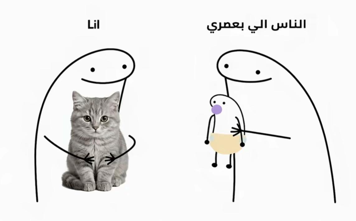 @jiji_hamawi