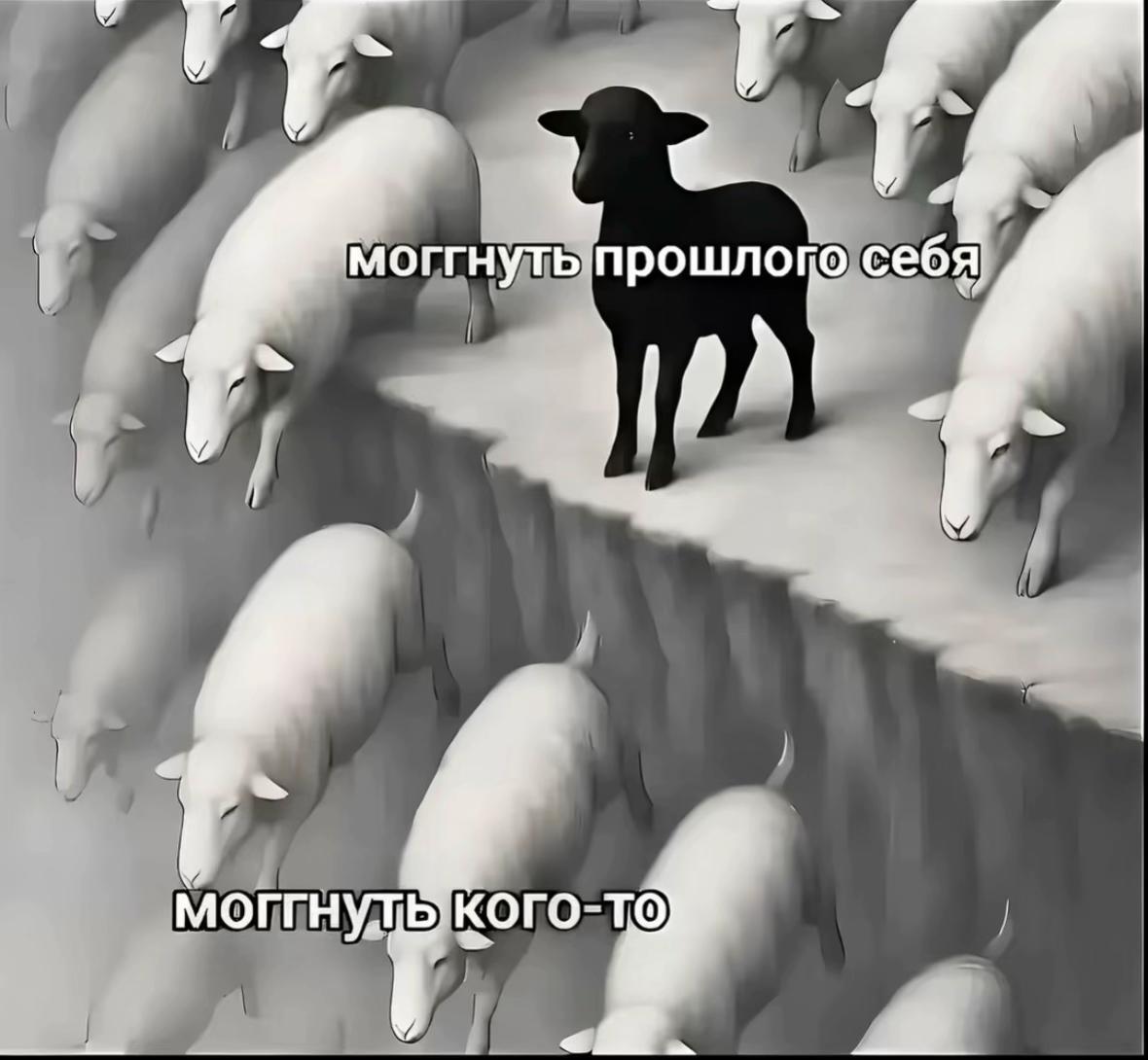 @Тгк:КулакСамира👊🏼