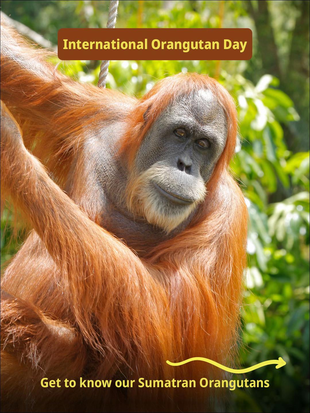 @Perth Zoo