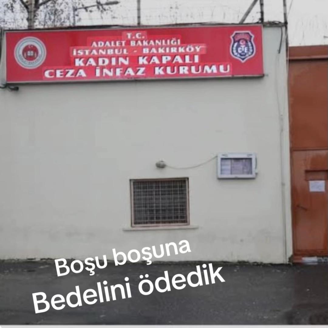 @Gamze Koç