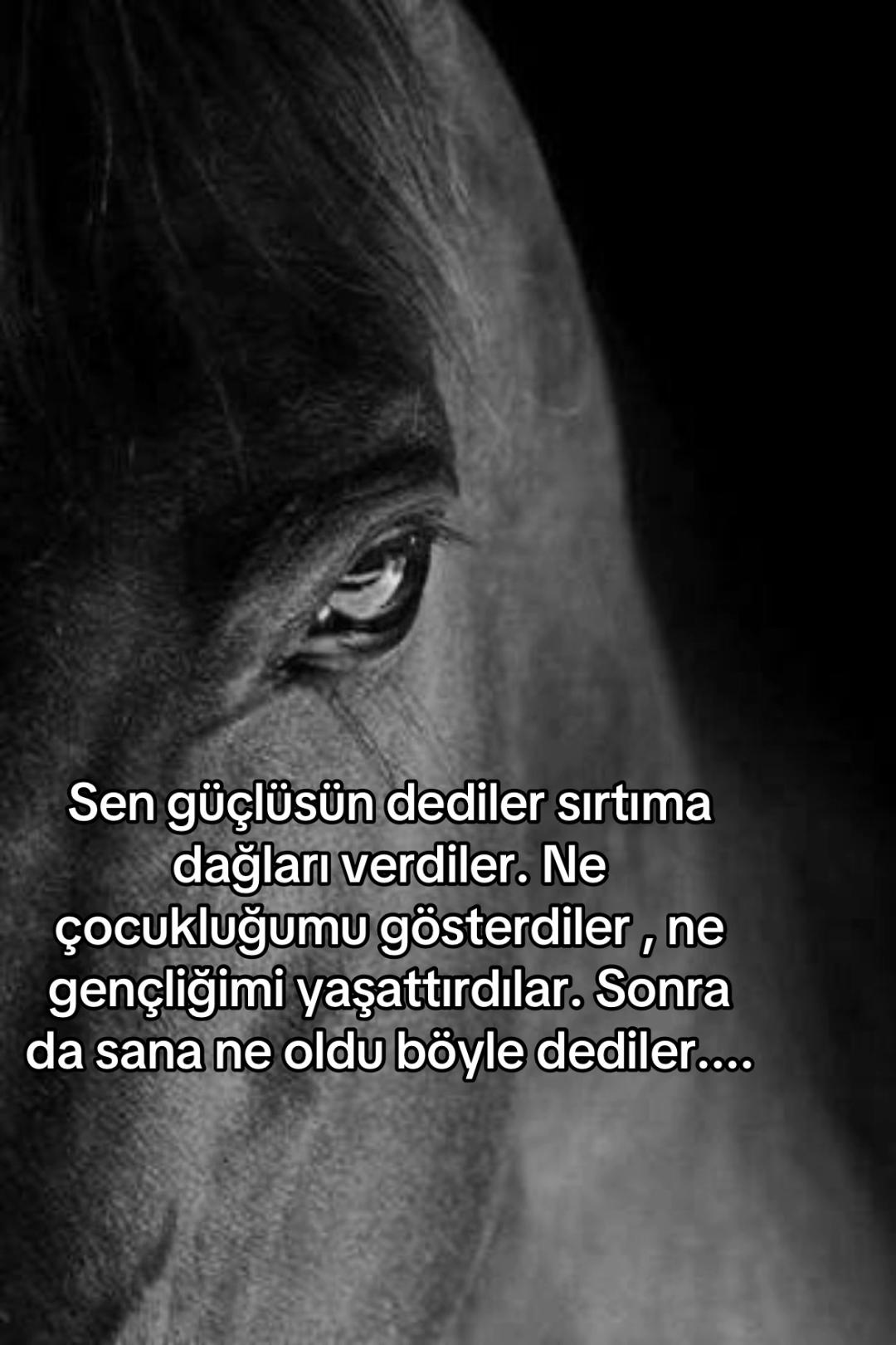 @sessiz.hislerr