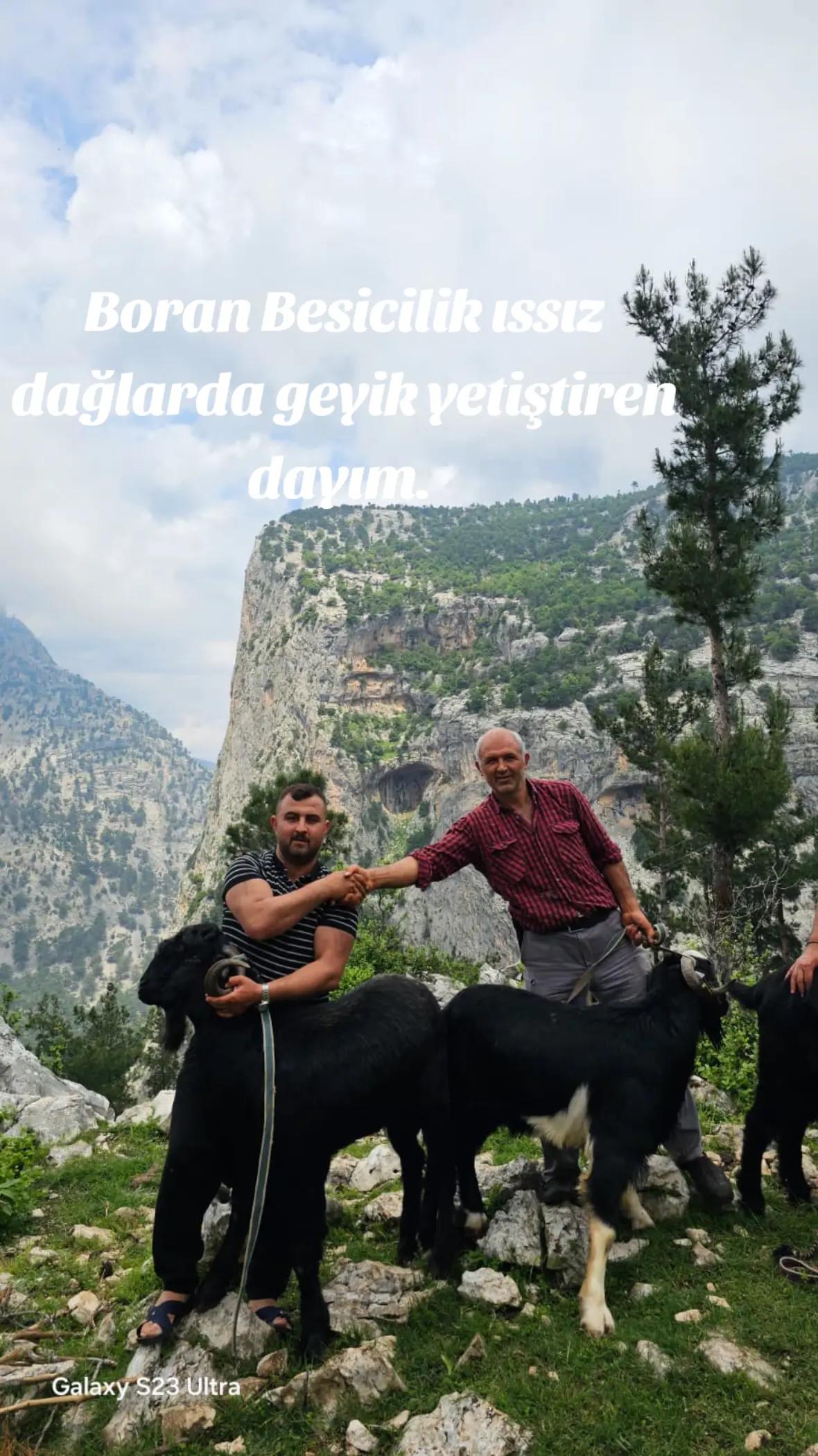 @ibrahim odabaş