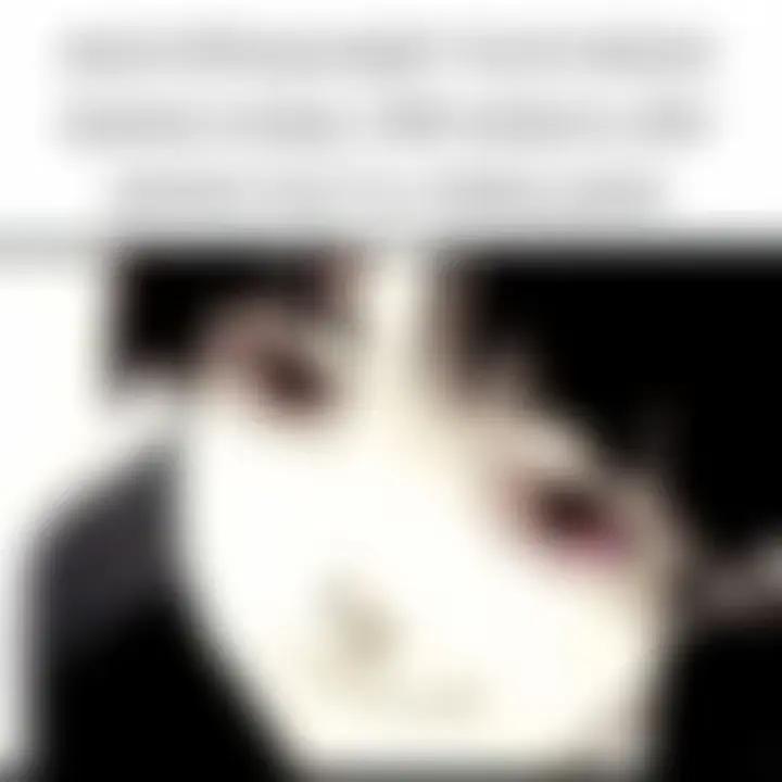 @СИПЛЫЙ