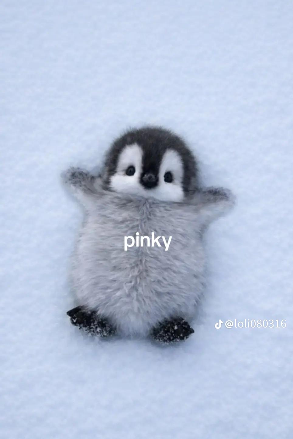 @**✿❀ 𝗘𝘀𝘁𝗿𝗲𝗹𝗹𝗮 ❀✿**