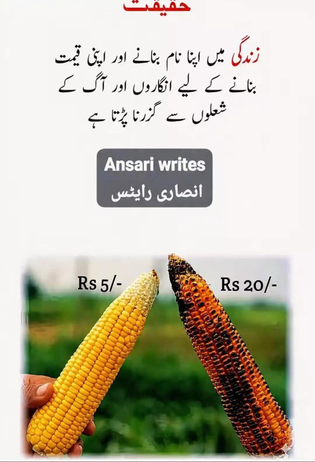 @غلام عباس 🗣️
