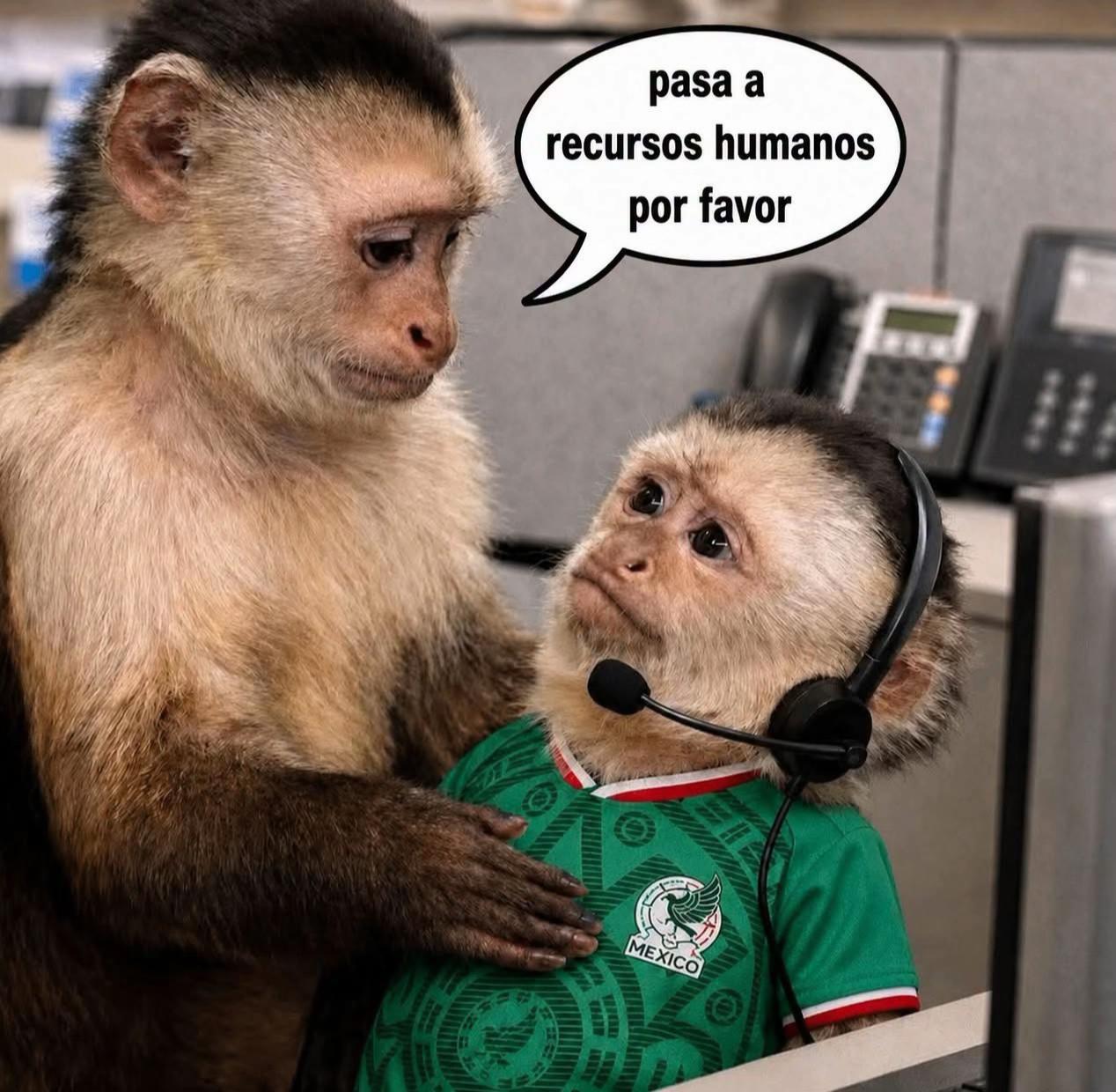 @mexadas