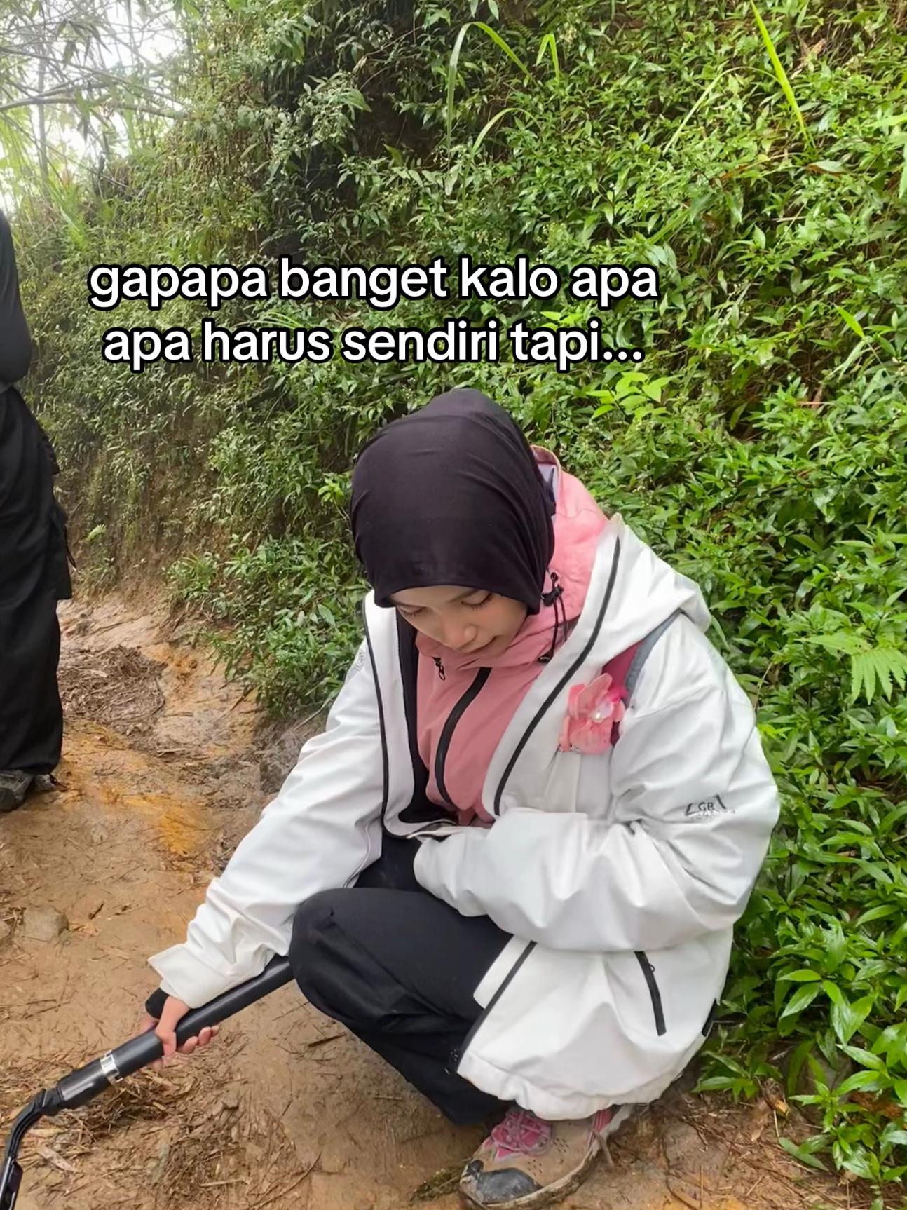 @revehijab