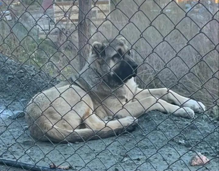 @Oskar Zirve