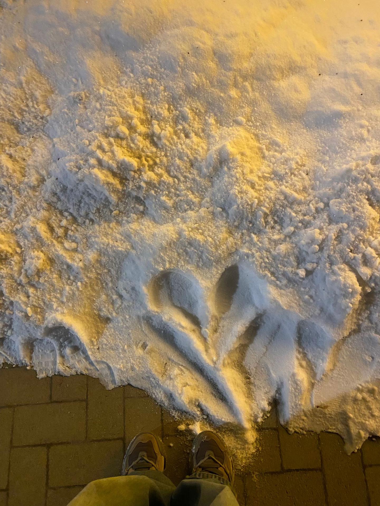 @дарик.л:0л