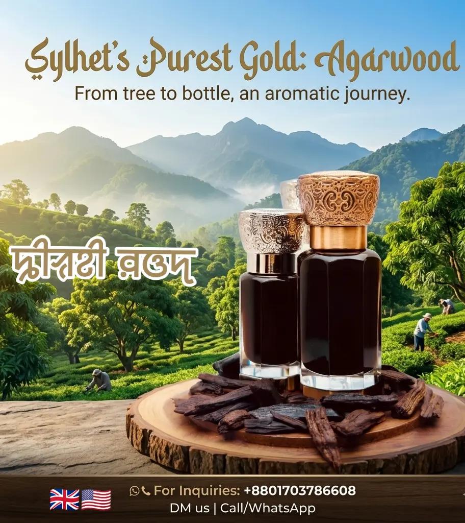 @Sylheti 🇧🇩