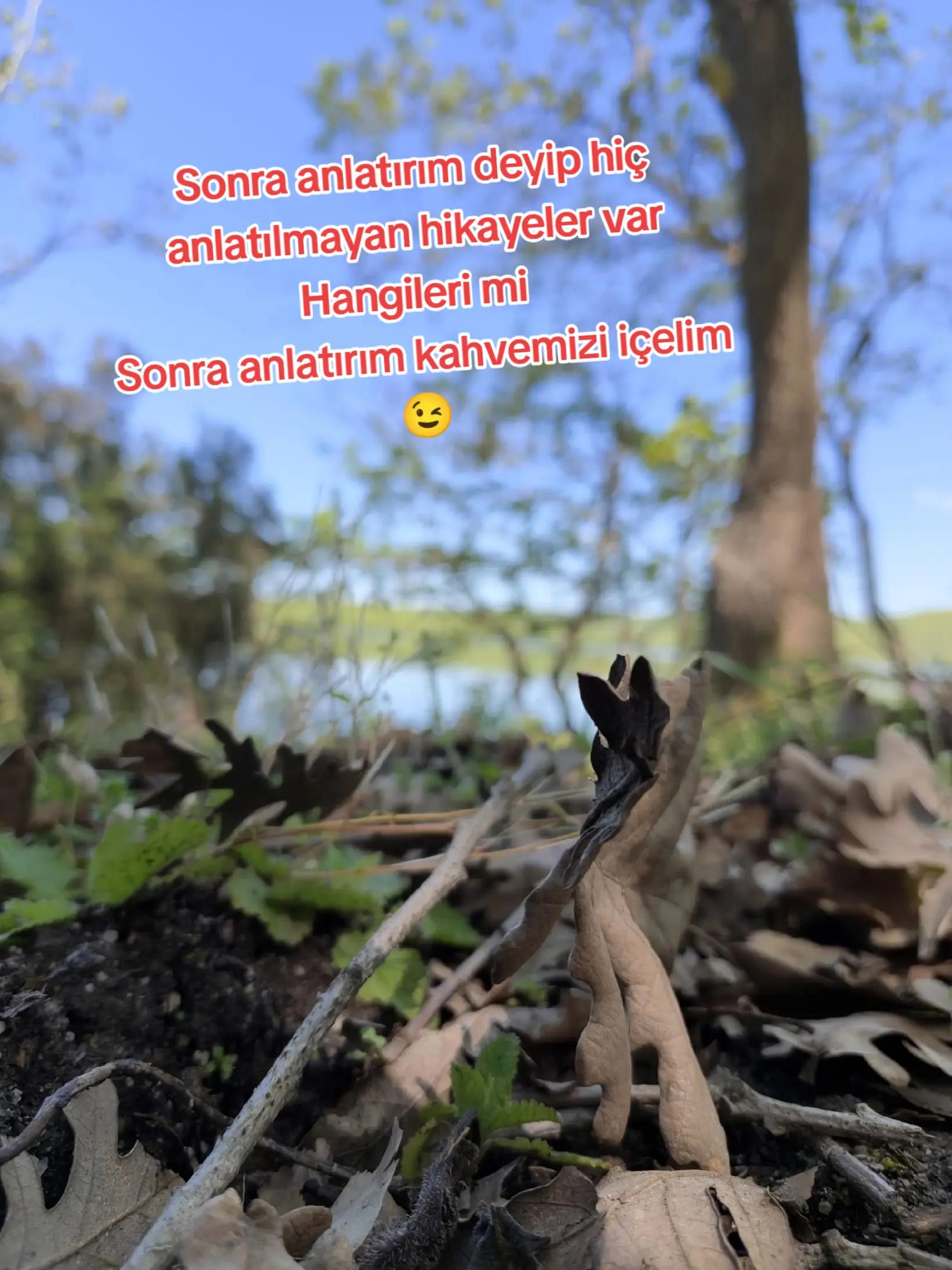 @Süleyman