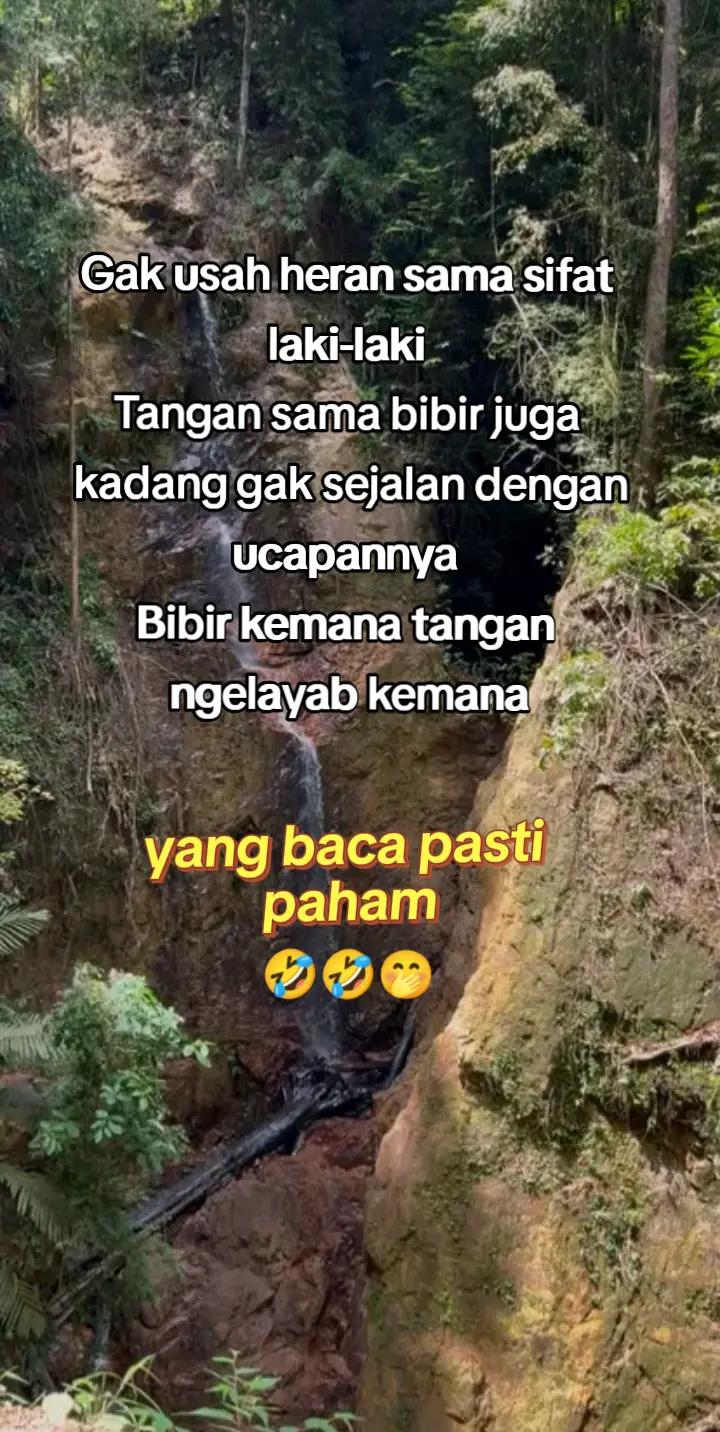 @Ipunk