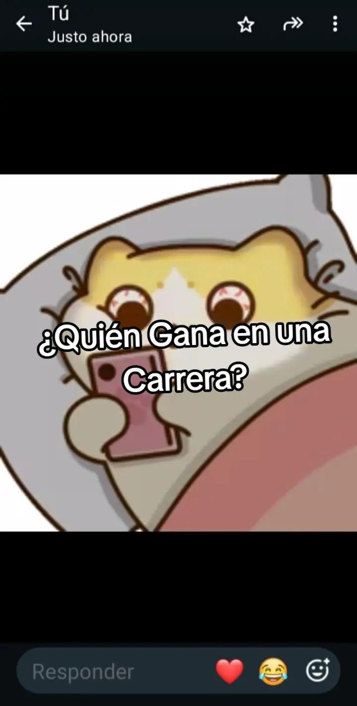 @IntensoSONIC123