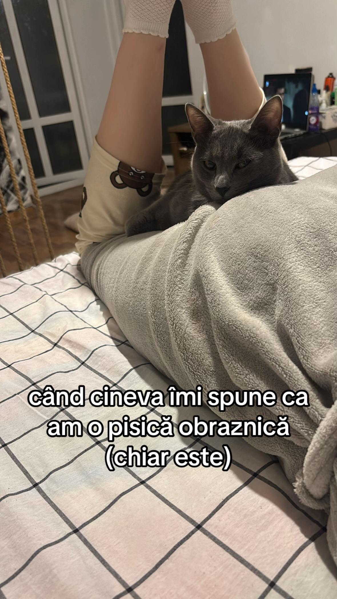 @zeyneppaulaaaa