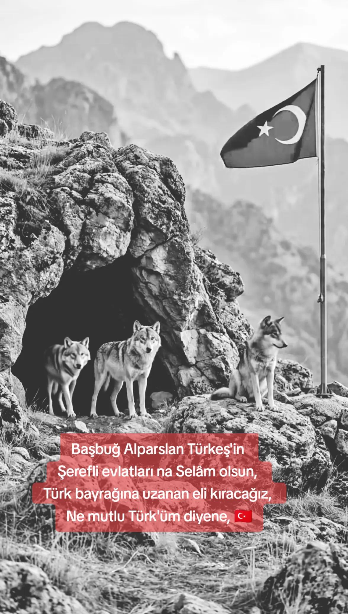 @T&uuml;rk Turan birliği