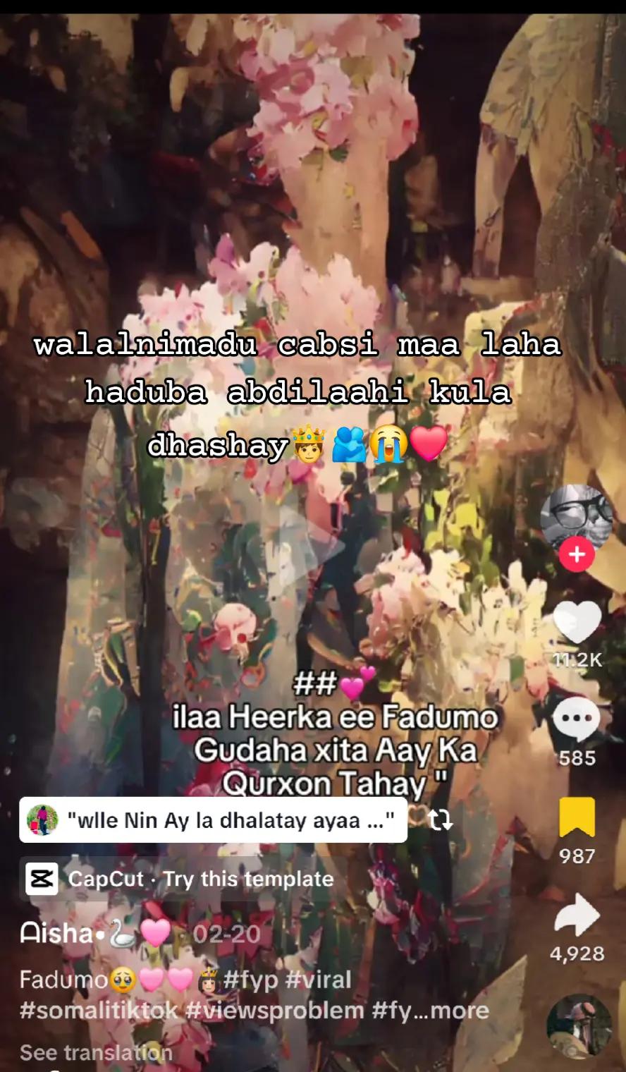 @Inanti Dhulbahaantay🐴