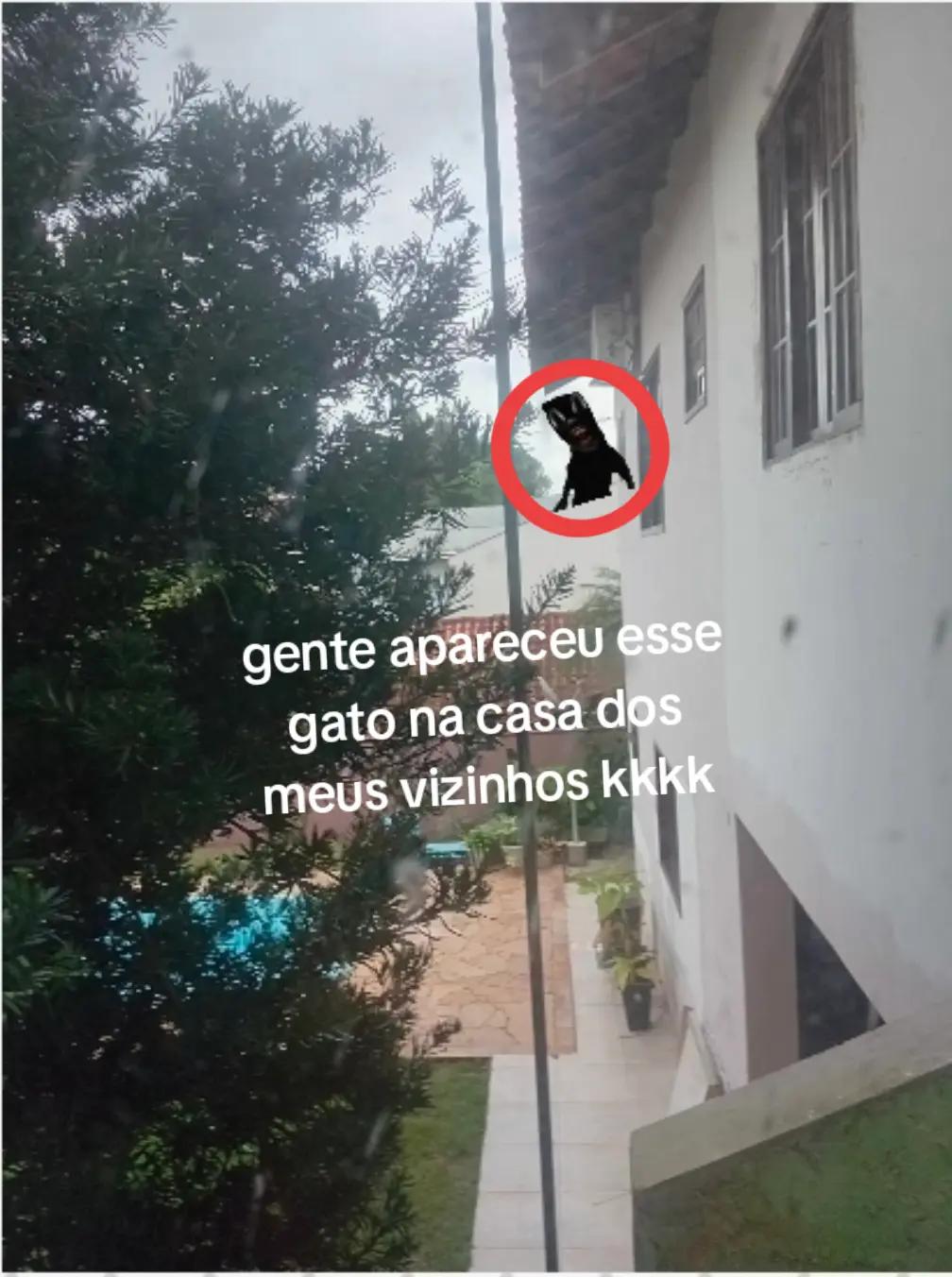 @jo&atilde;o pedro