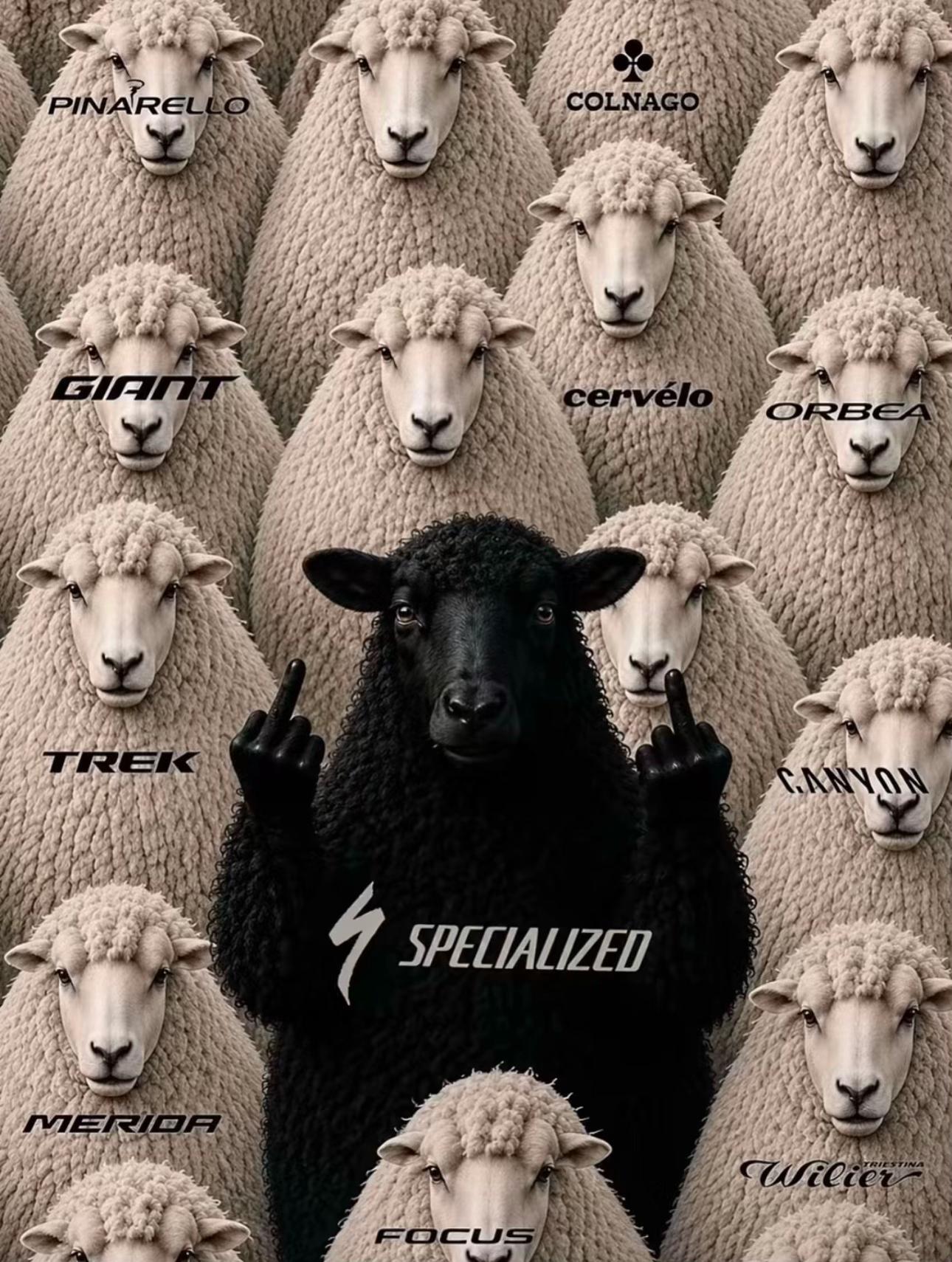 @The_Stolen_Pinarello