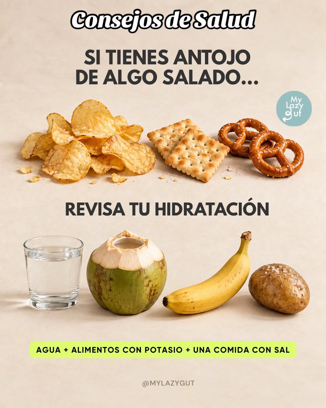 @Mylazygut/Digestión Saludable