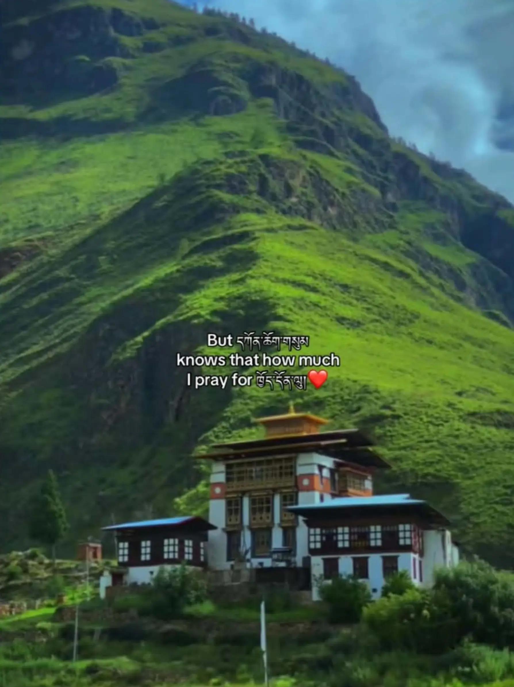 @Yourfavboy_norbu