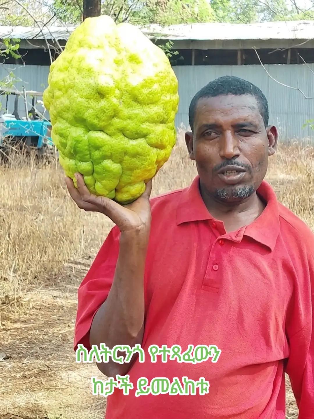 @የጓሮ ማሕበረሰብ-GARDENING COMMUNITY