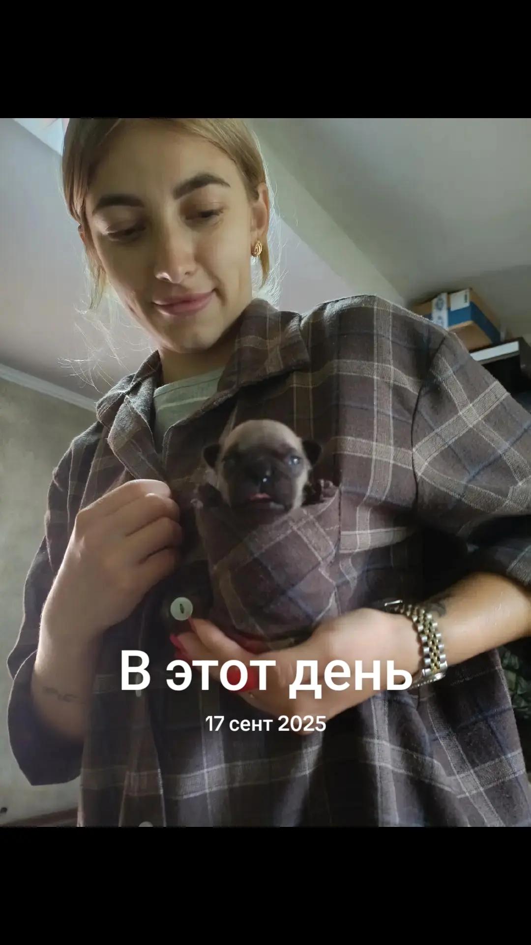 @elenakravchenko884