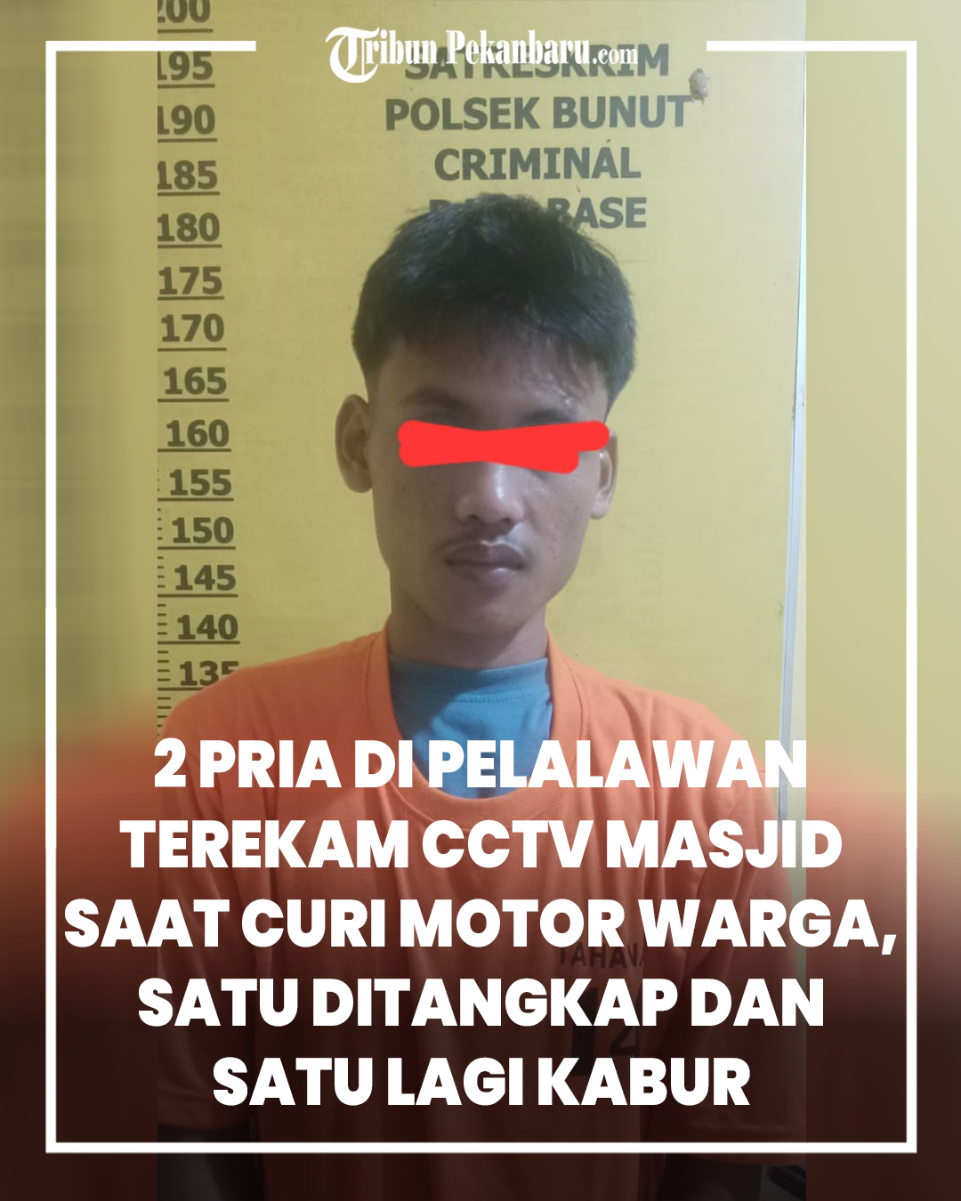 @Tribun Pekanbaru