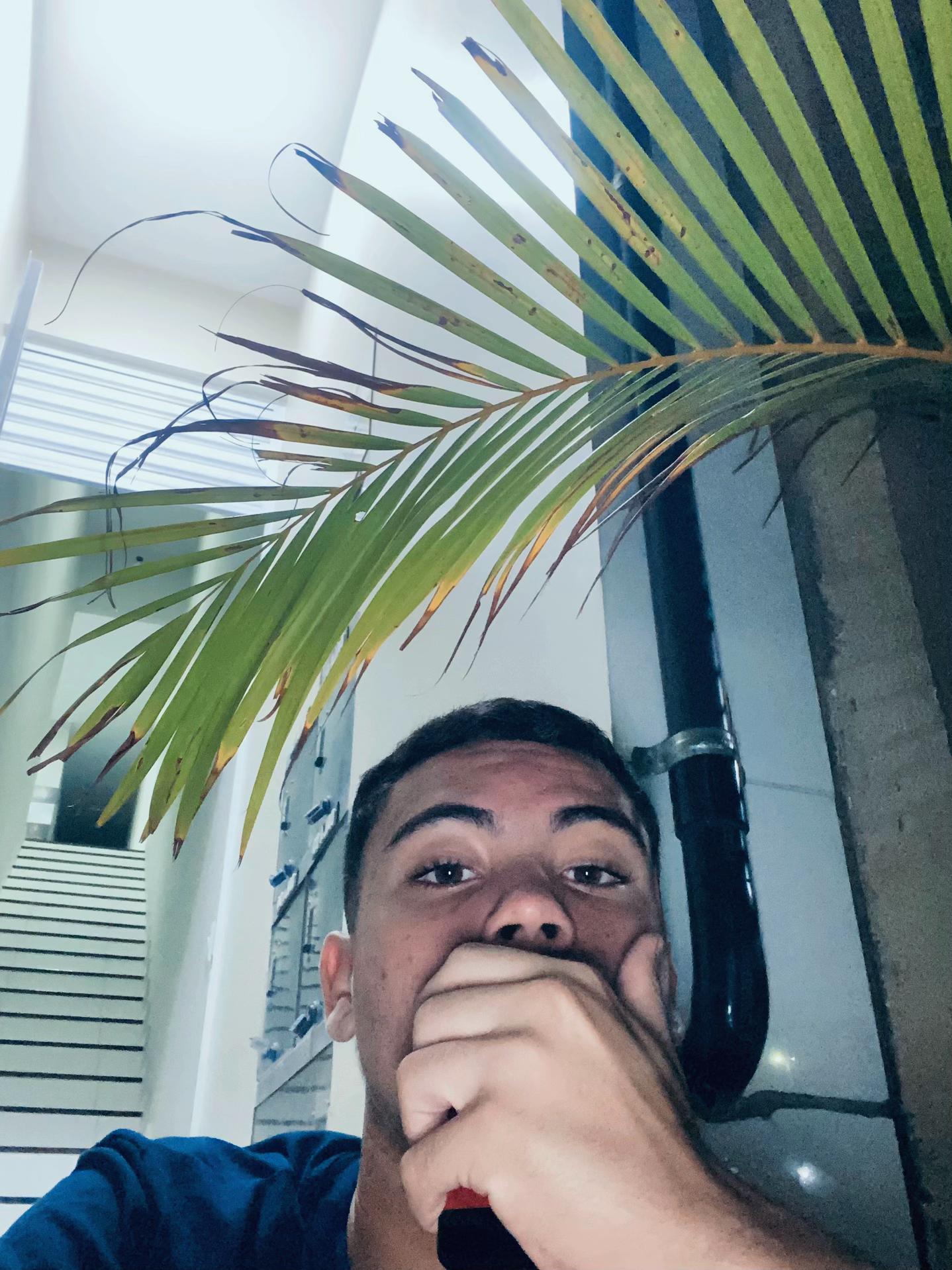 @Jotav.xs