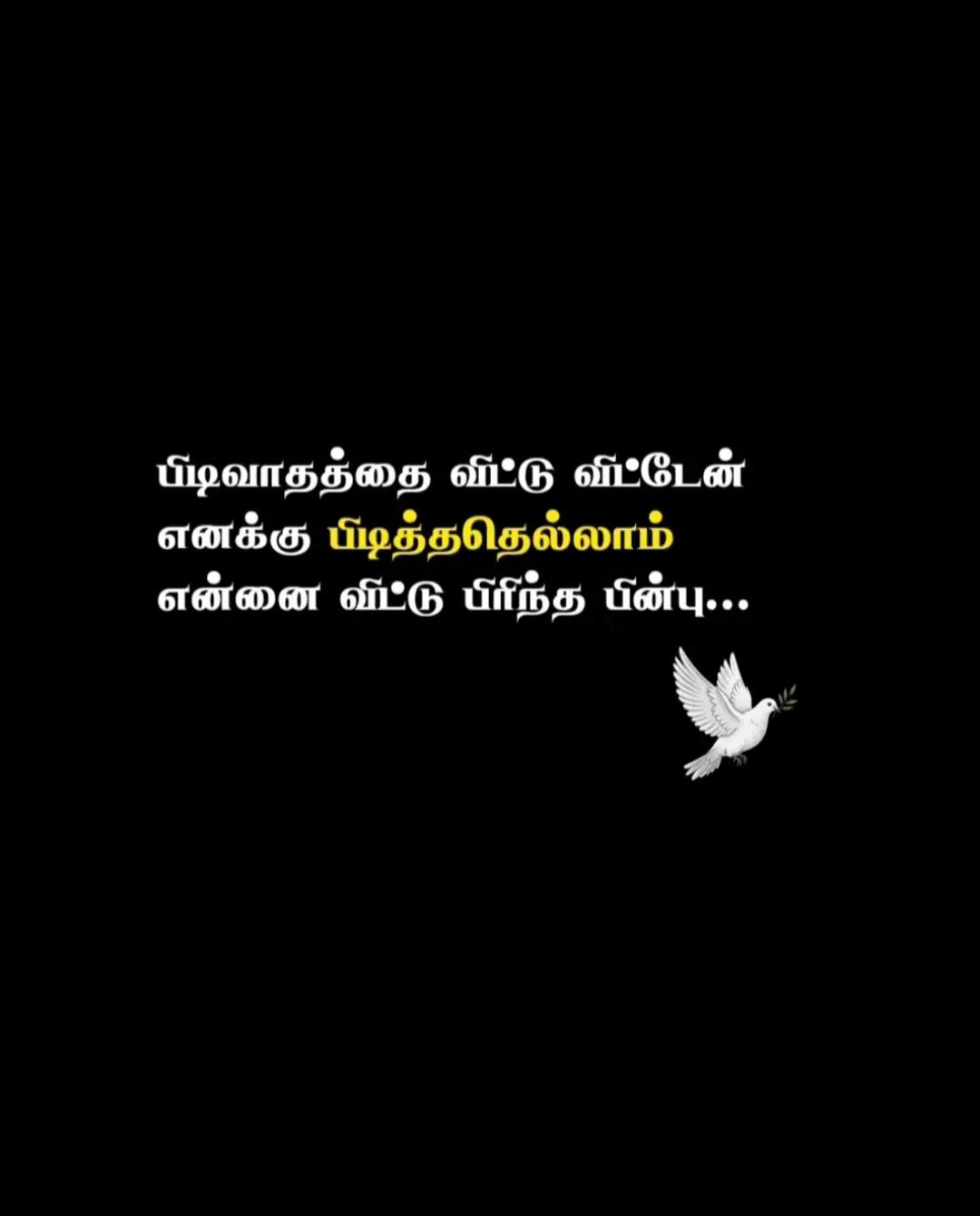 @🧸🧸Teddy lover vithu 🦋🦋