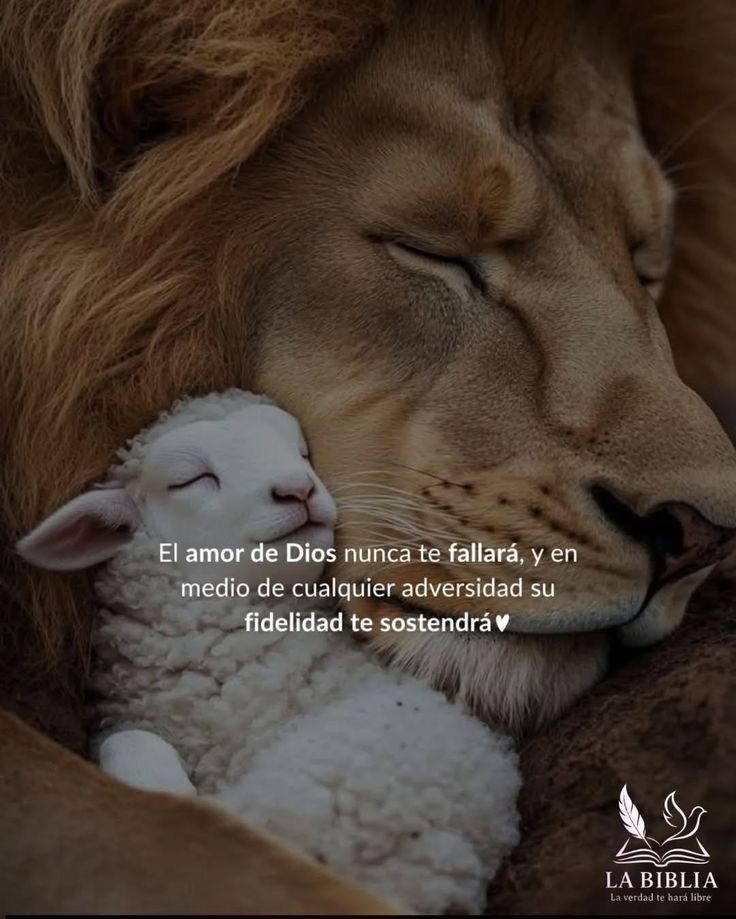 @Ingrid Moreno