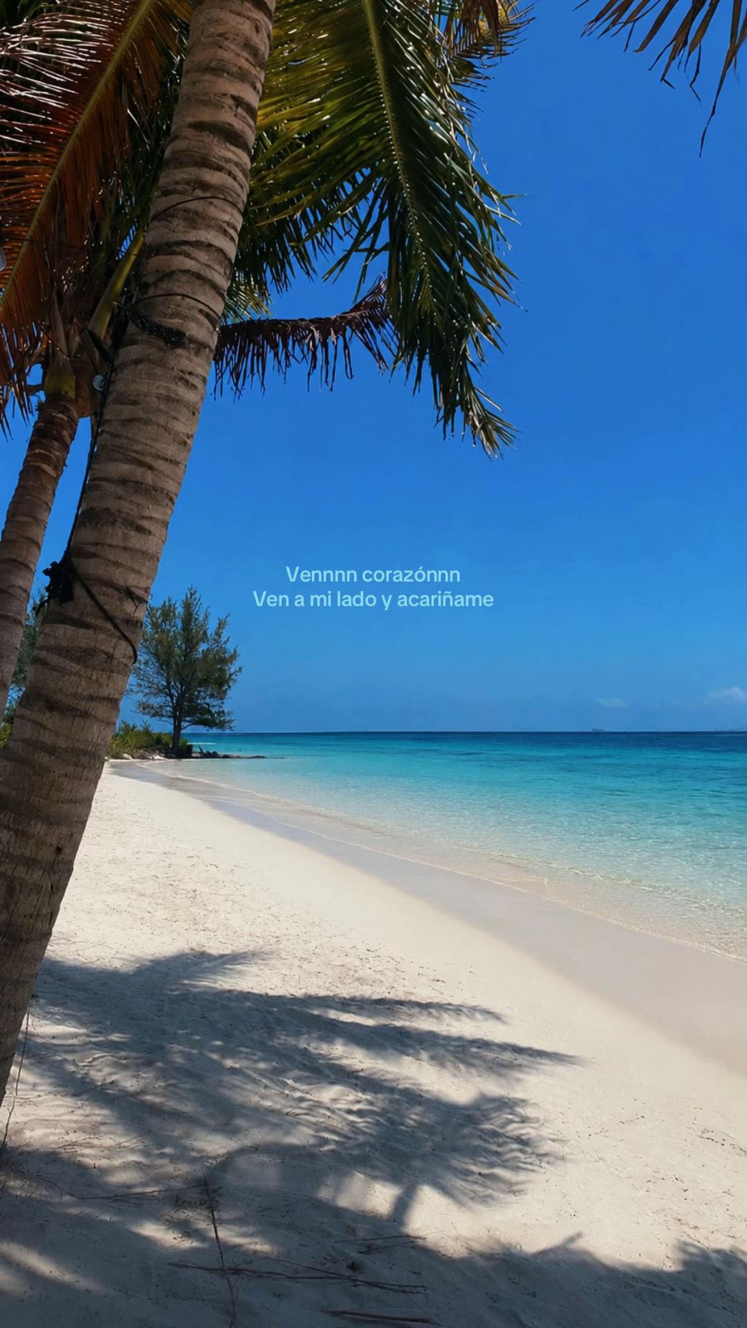 @𝒥𝑜𝓁𝑒𝓉𝒽𝑒 𝒮.