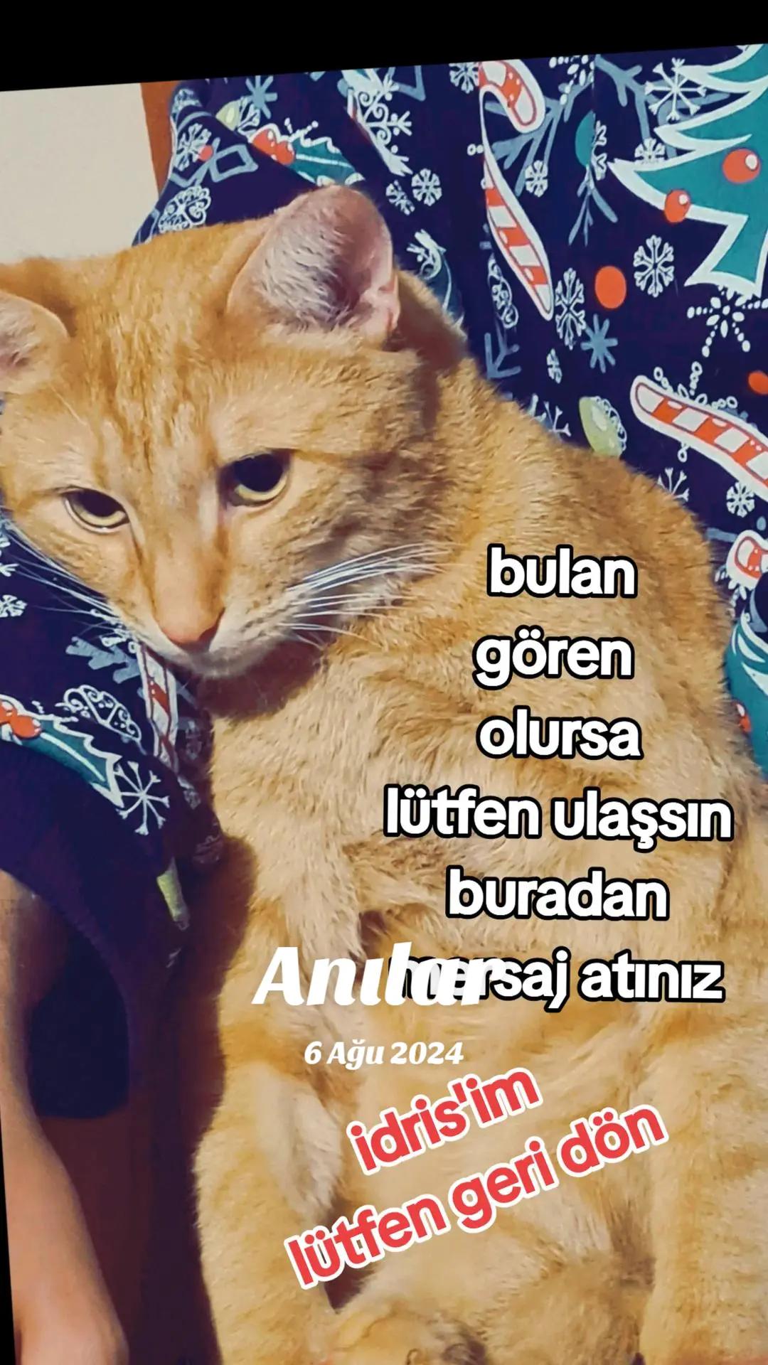 @Eylem