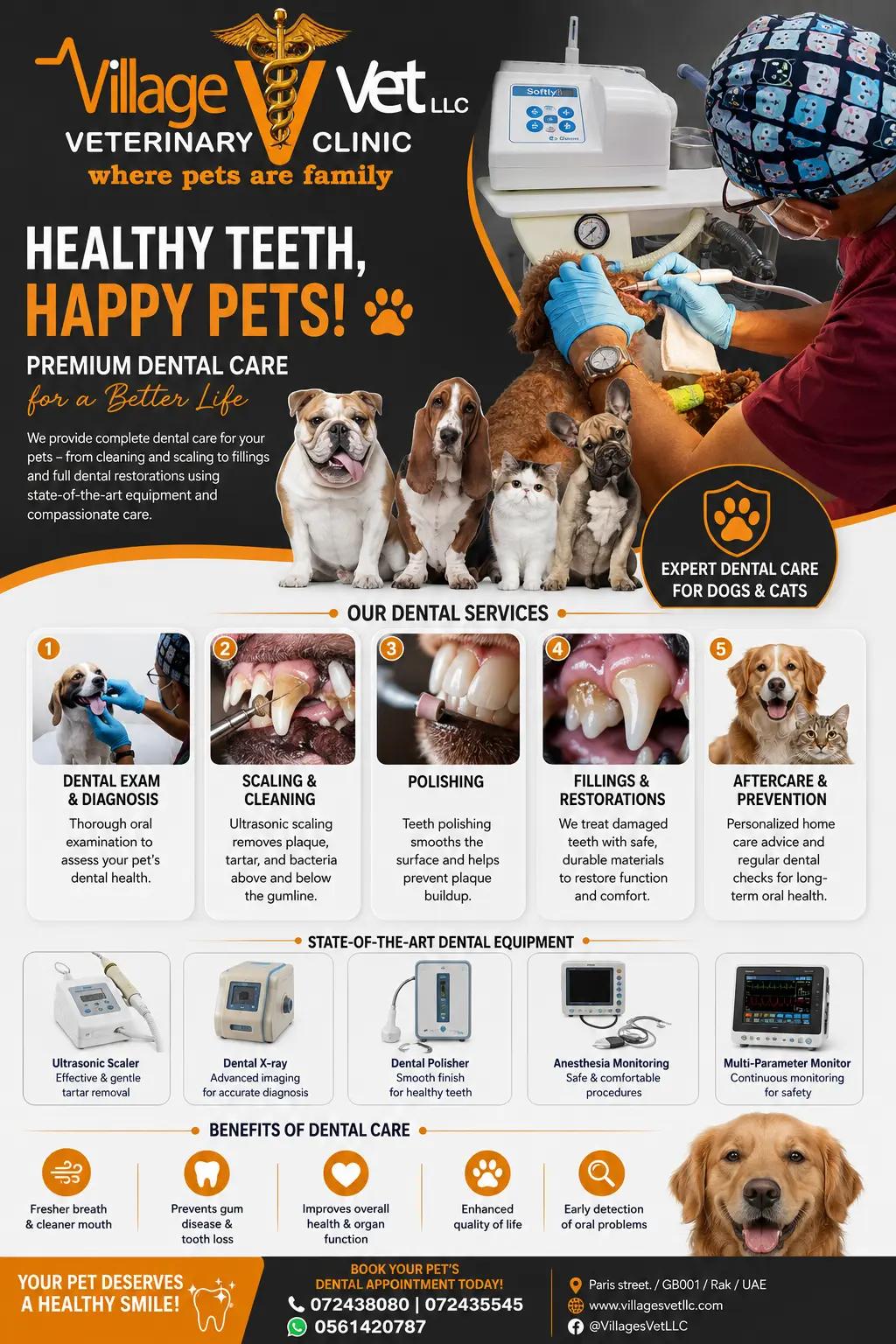 @VillagevVet LLC