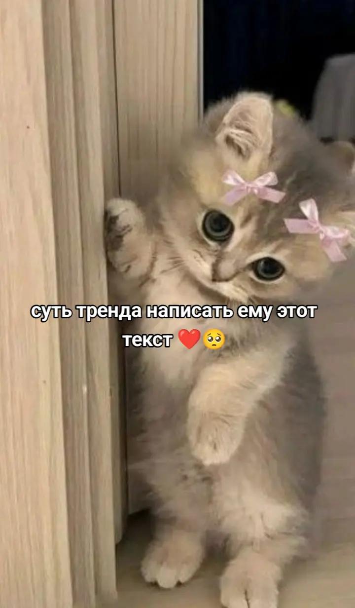 @polinasskkss