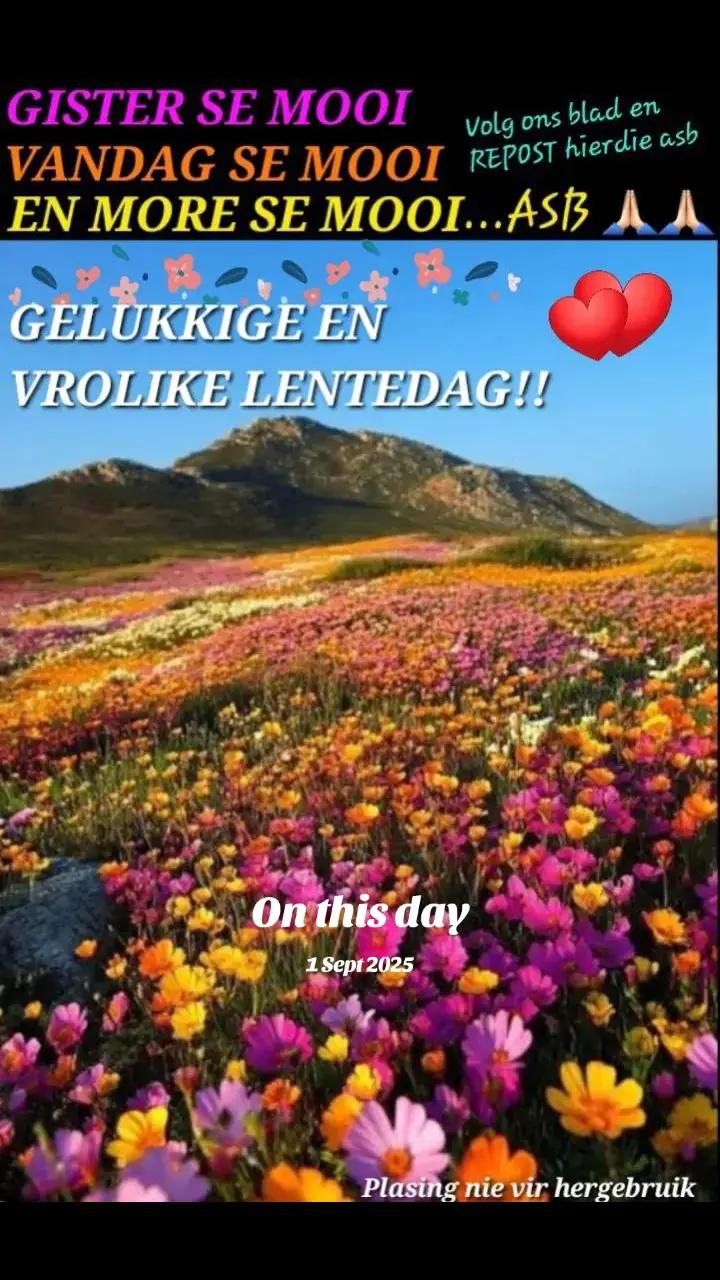 @GISTER SE MOOI