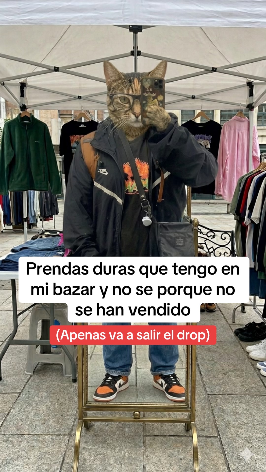 @manitadgmx