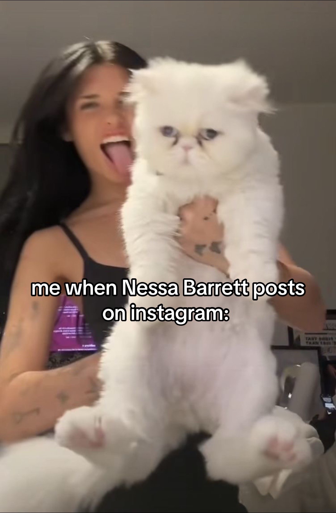 @Nessa Barrett Discord
