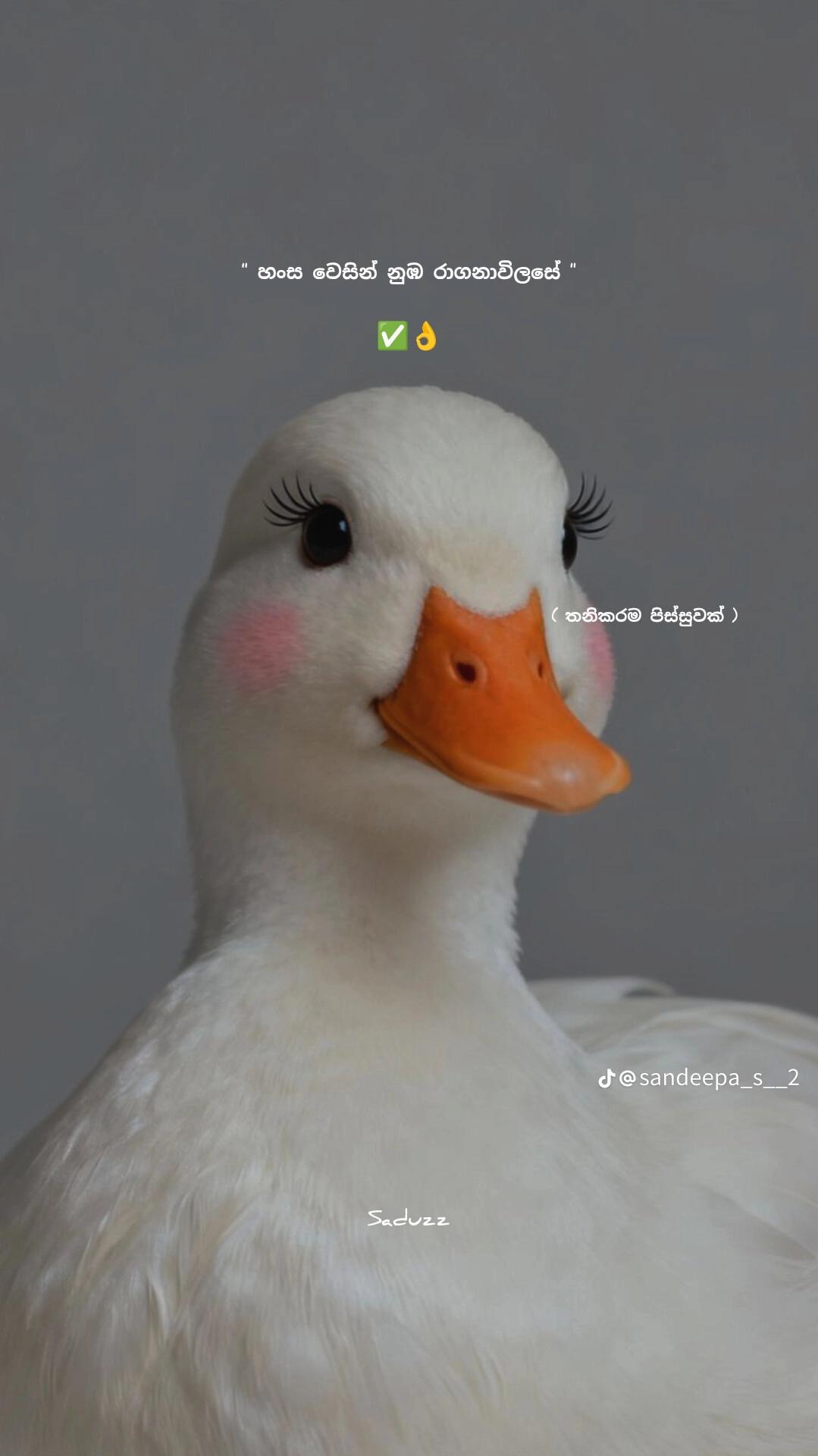 @𝘀✿ꪀꪖꪖ🫧🦩