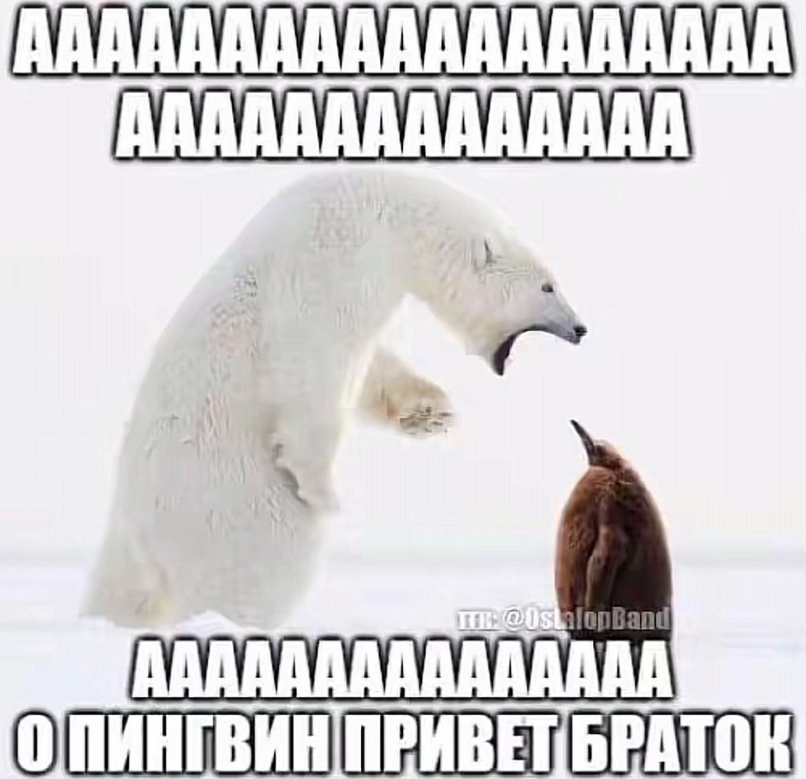 @Ppatr1ott мемчик