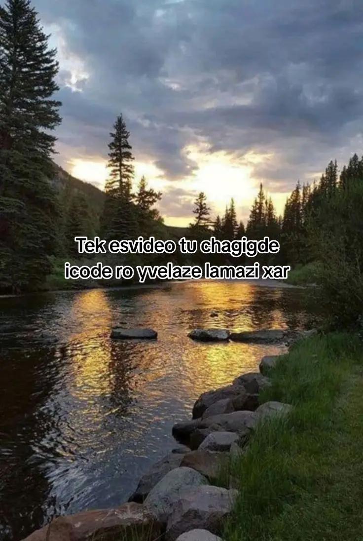 @tekklamiyyvarxarr