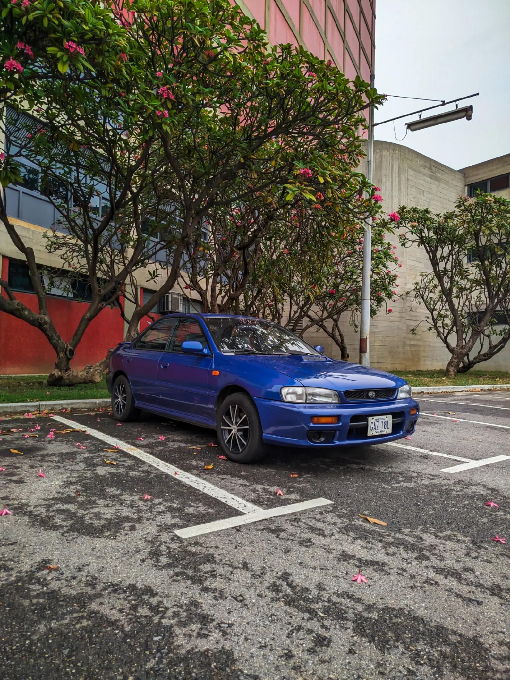 @Paradise Cars