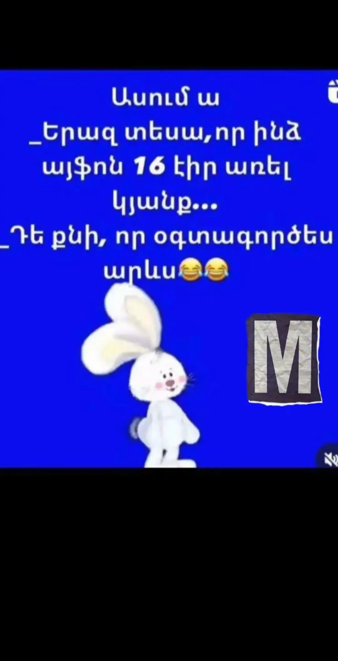 @anikdotner