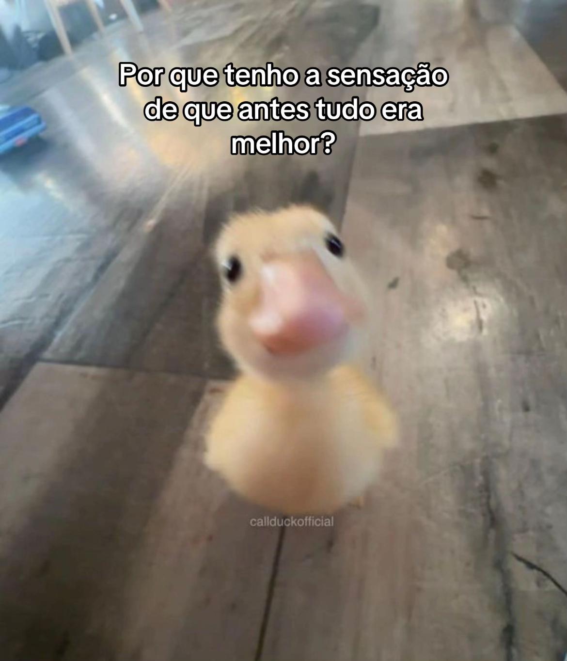 @euuuuuts