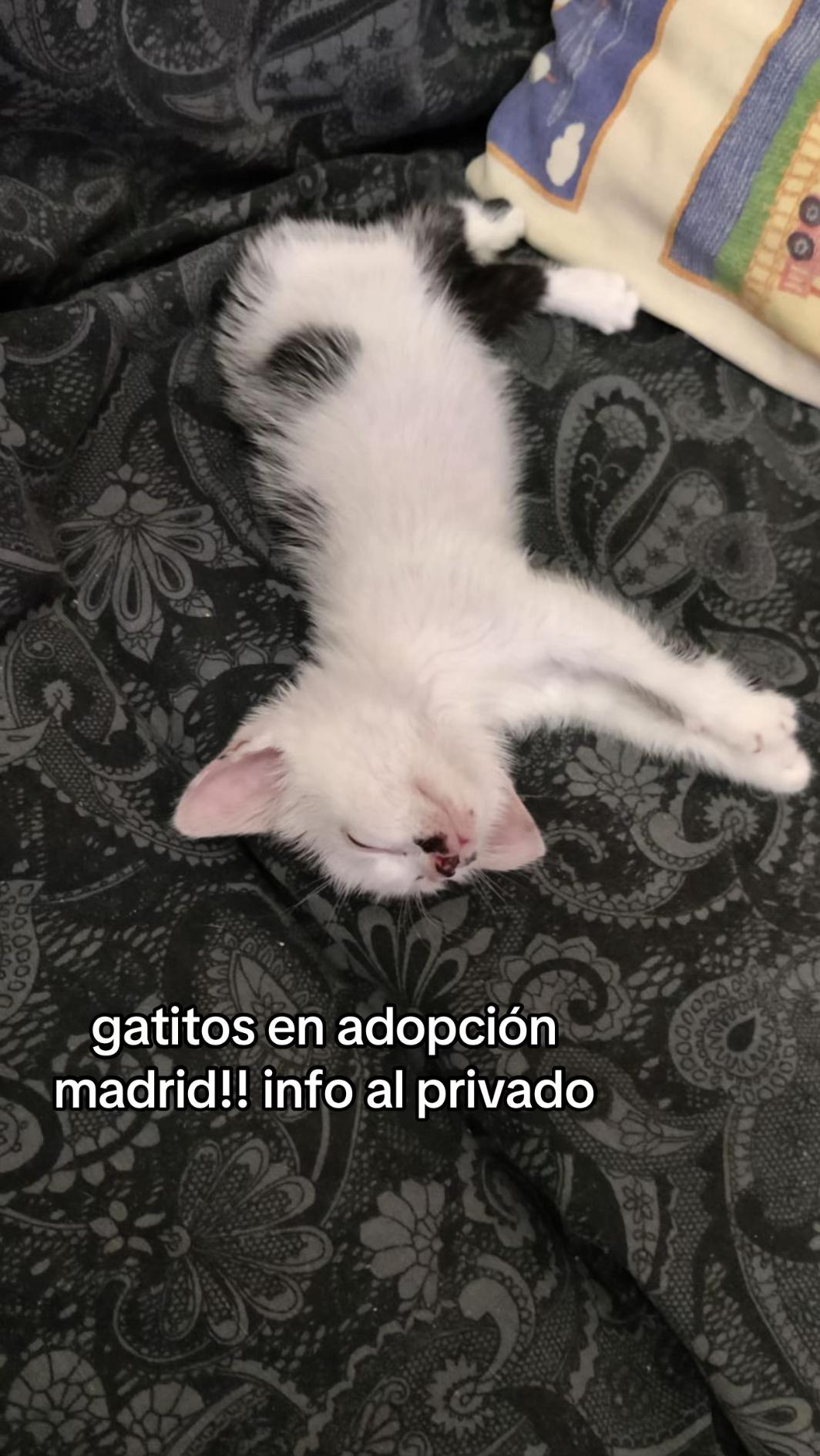 @huellitas por casa