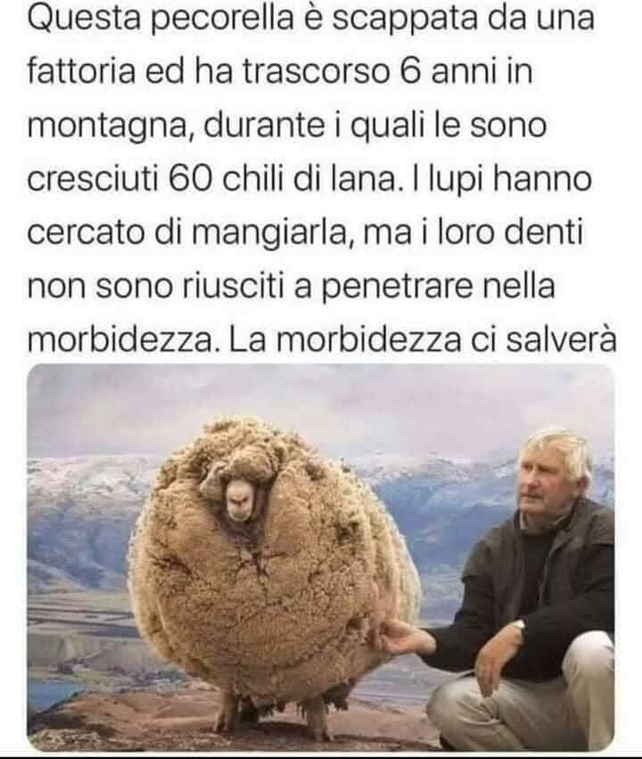 @Mary