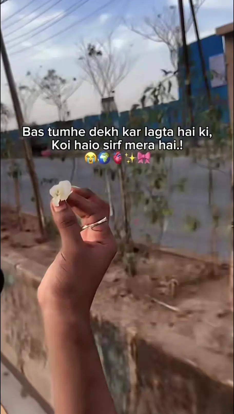 @ᥫ᭡.𝐖🤍