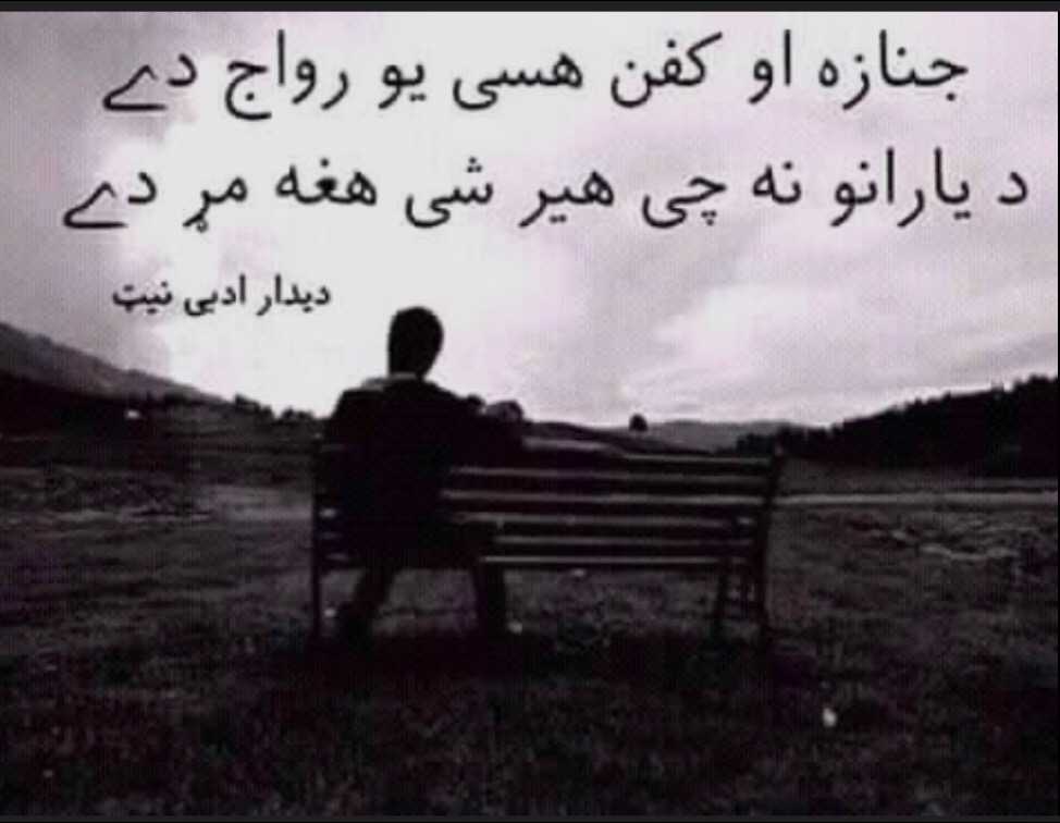 @sunnyamir9